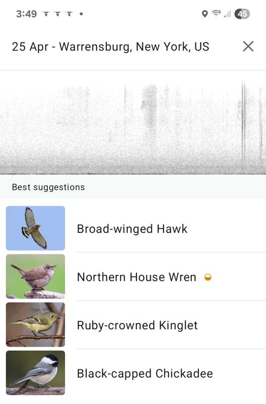 20250425_154927_Merlin Bird ID.jpg