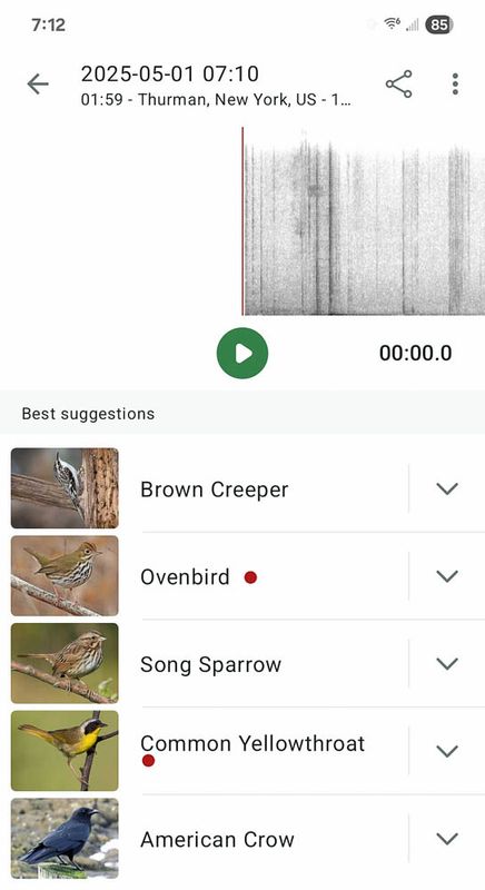 Screenshot_20250501_071232_Merlin Bird ID MLR2023.jpg