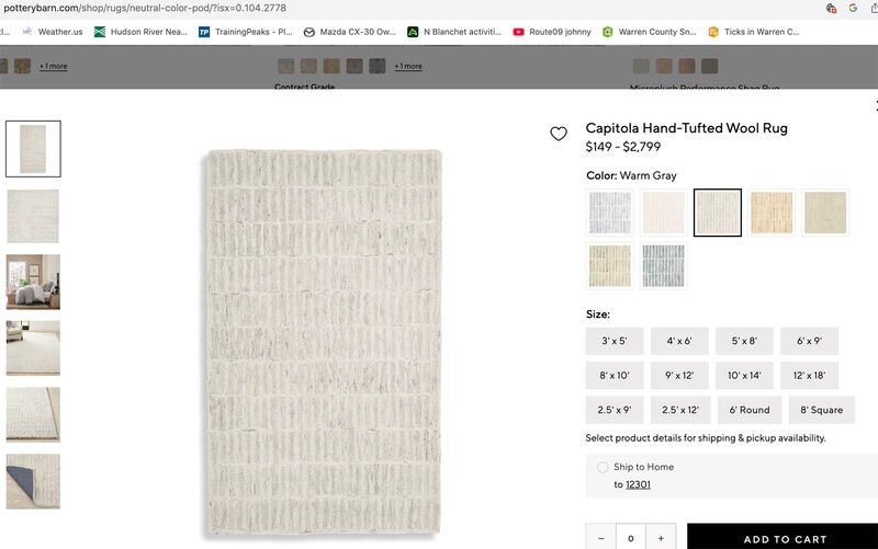 capitola rug.jpg
