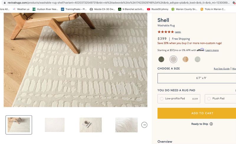 shell rug.jpg