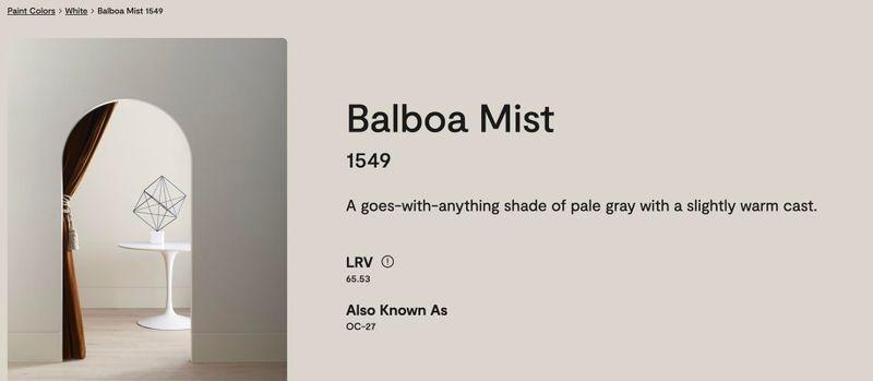 Balboa Mist.jpg