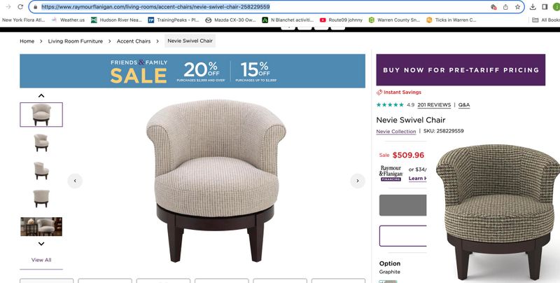 Nevie swivel chair.jpg