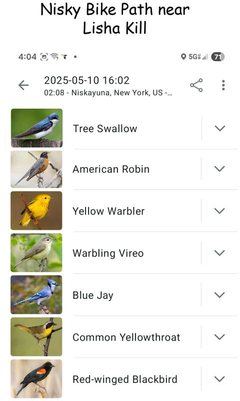 5-10-25 birds on bike path 2.jpg