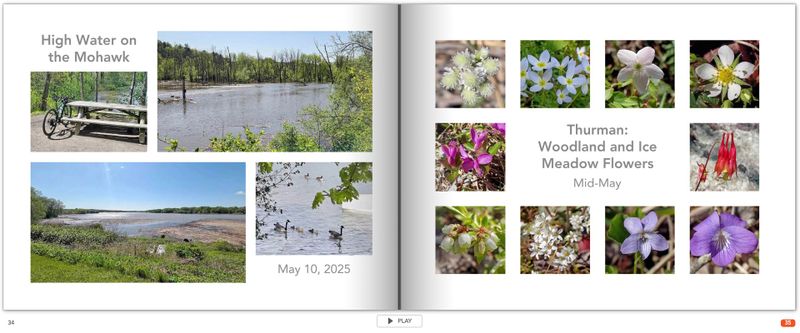 page 34.jpg