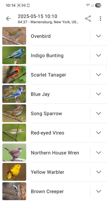 5-15-25 morning birds.jpg