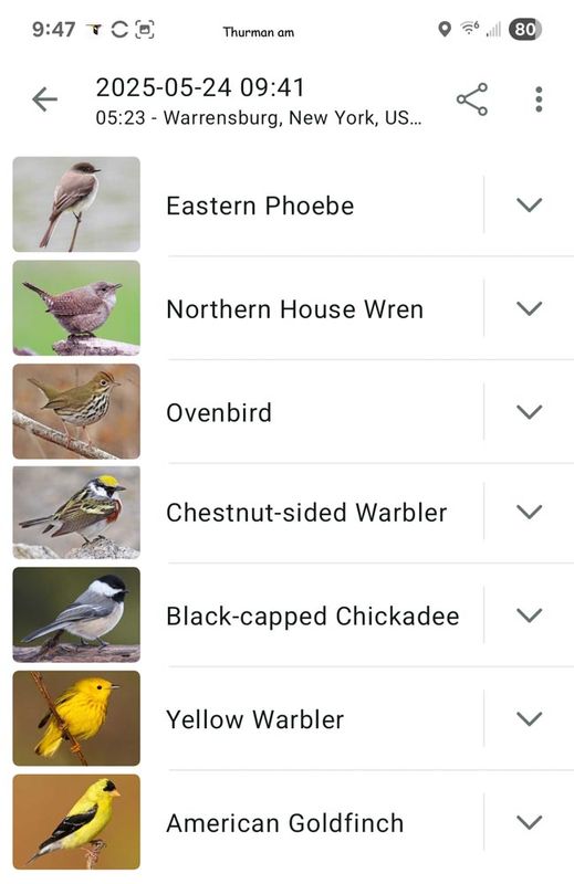 5-24-25 Thurman am birds.jpg