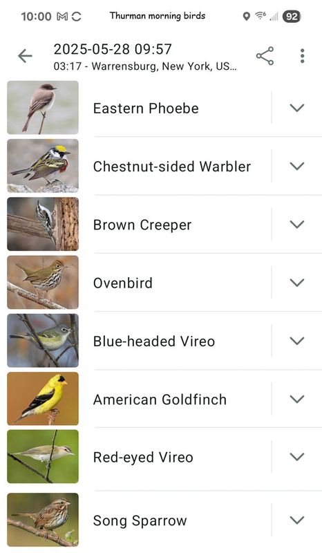5-28-25 am birds thurman.jpg