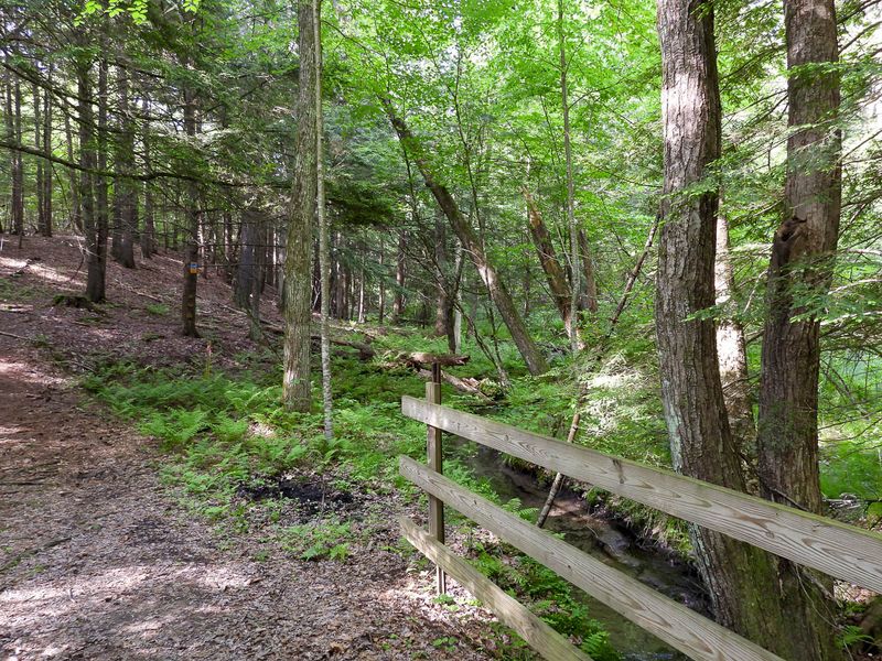 DSCN0871 MLR2023.jpg