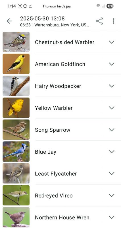 5-30-25 thurman birds.jpg