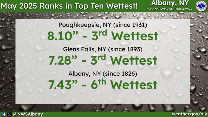 May 2025 rain totals.jpg