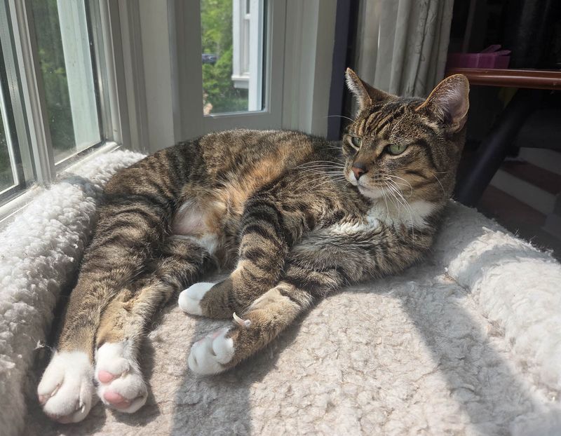 20250602_105302 MLR2023.jpg