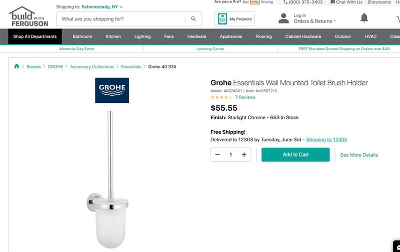 toilet brush.jpg