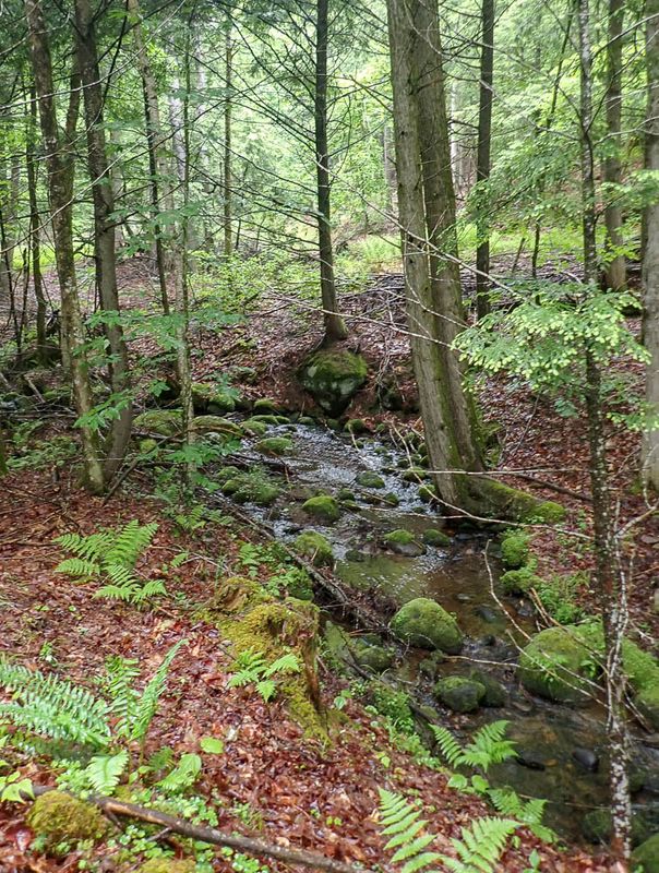 P6090324 TG6MLR2023.jpg