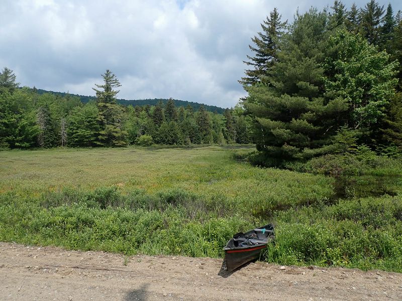 P6110355 TG6MLR2023.jpg