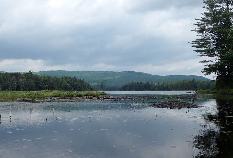 P6110370 TG6MLR2023.jpg