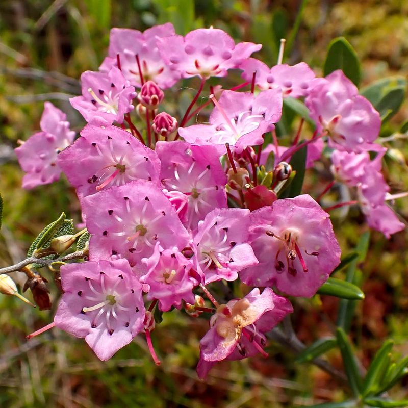 P6110433 TG6MLR2023.jpg