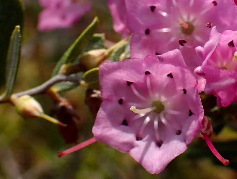 P6110436 TG6MLR2023.jpg