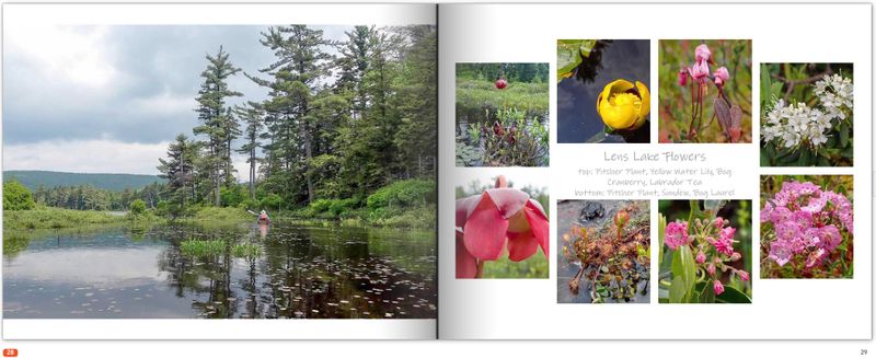 Adirondack Waters...Book 2