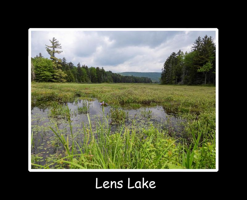 Lens Lake.jpg