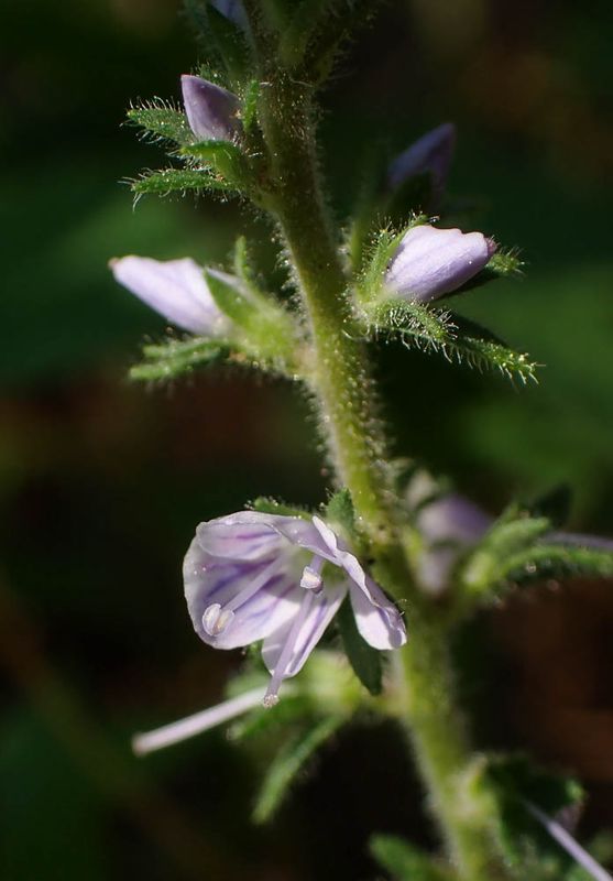 P6120485 TG6MLR2023.jpg