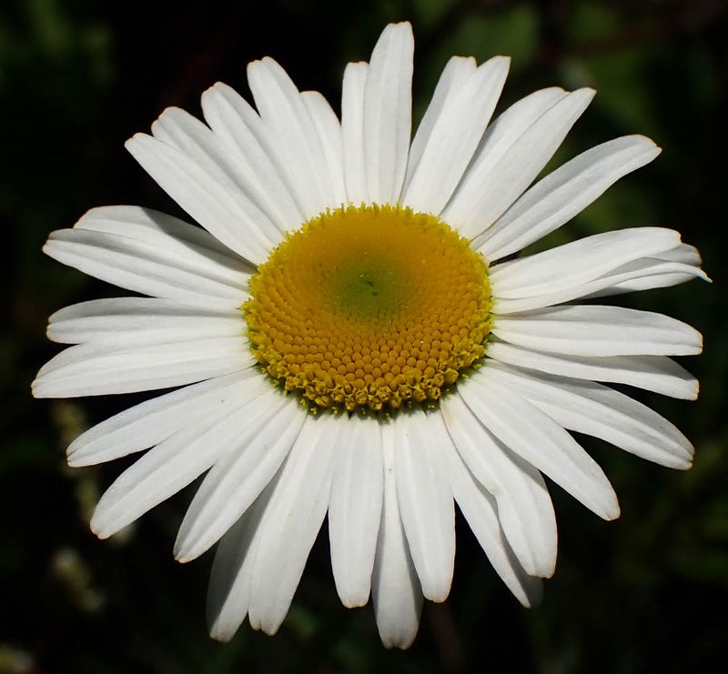 P6120492 TG6MLR2023.jpg