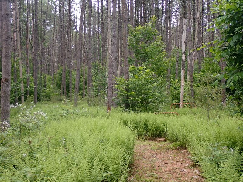 P6130595 TG6MLR2023-2.jpg
