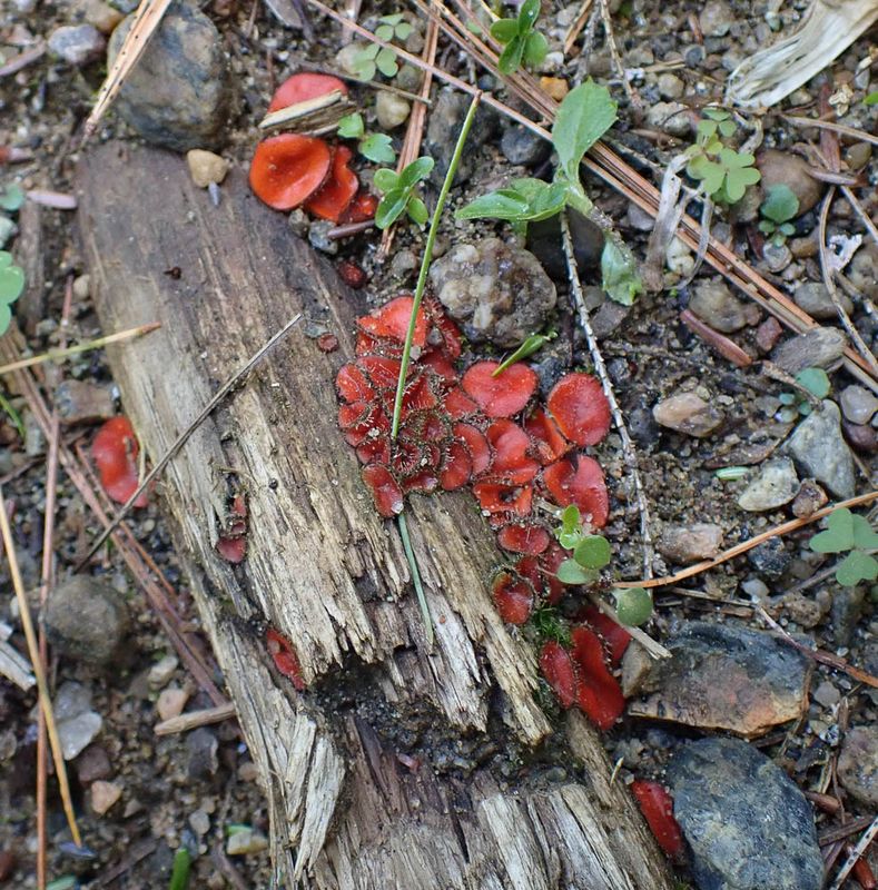 P6160606 TG6MLR2023.jpg