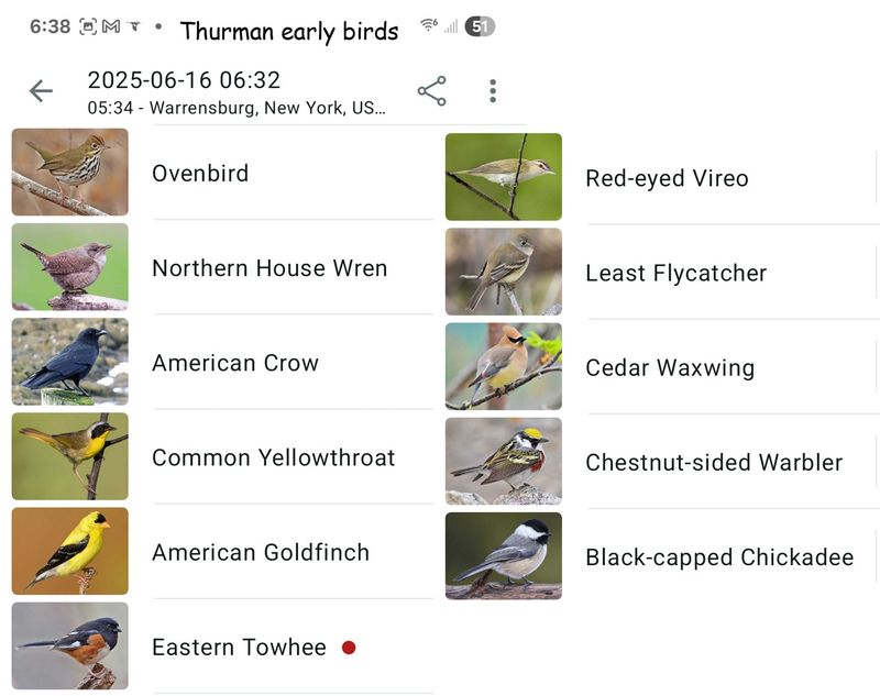 6-16-25 Thurman early birds 638am.jpg