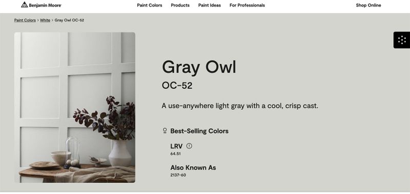 Gray owl.jpg