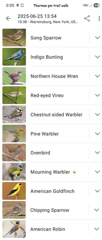 6-25-25 pm birds on trails 1.jpg