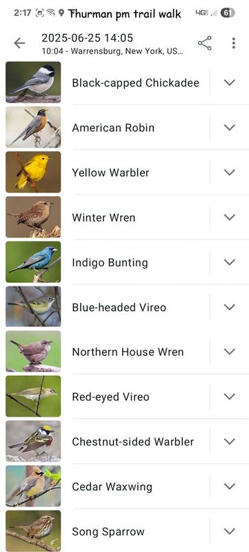 6-25-25 trails bird walk 2.jpg