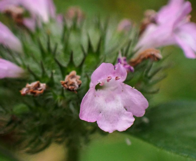 P6250687 TG6MLR2023.jpg