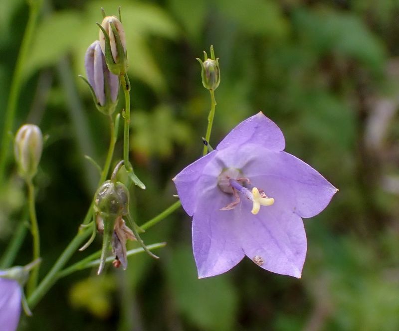 P6290758 TG6MLR2023.jpg