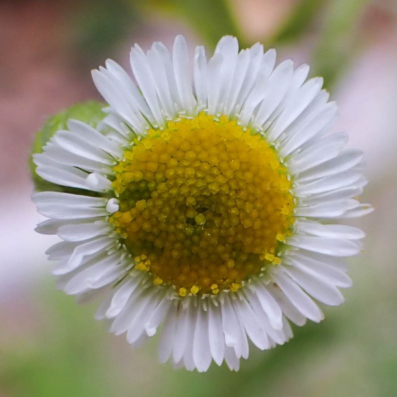 P6290769 TG6MLR2023.jpg