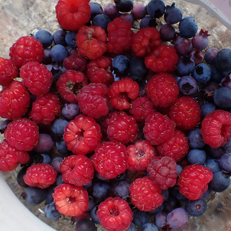 P6290795 TG6MLR2023.jpg