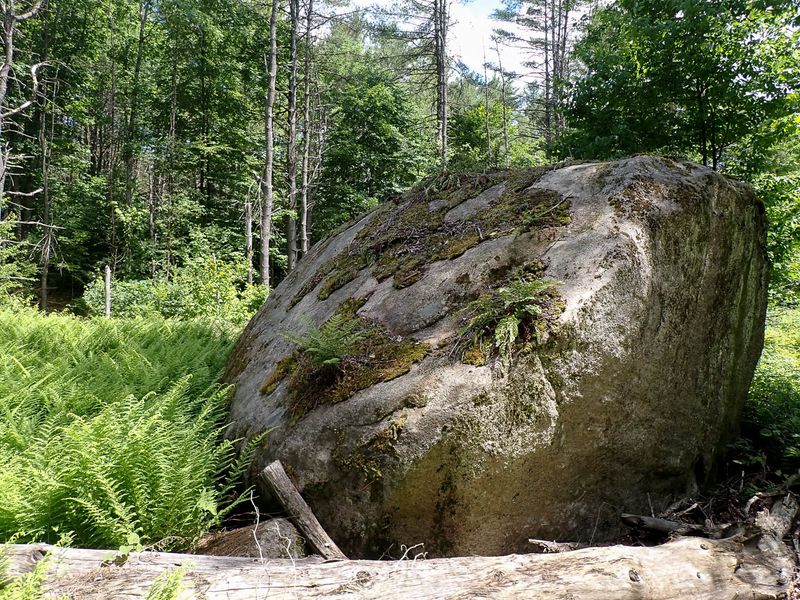 P7020841 TG6MLR2023.jpg