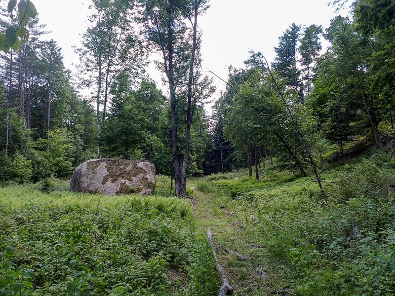 P7020844 TG6MLR2023.jpg