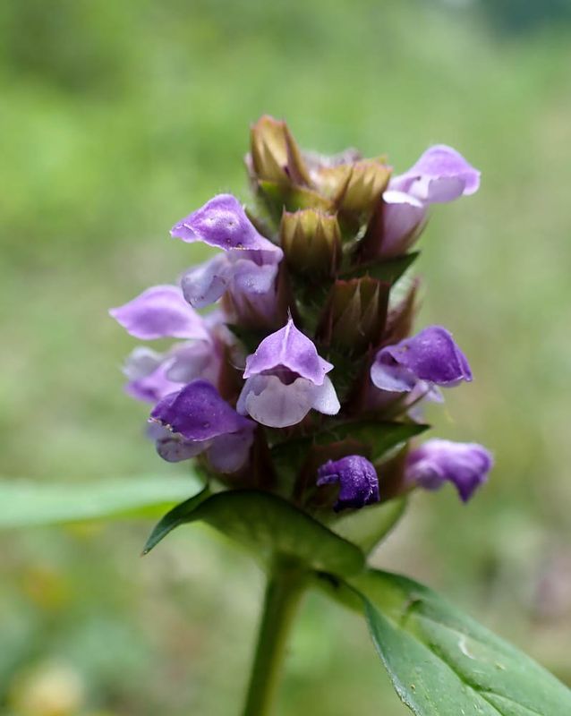 P7020847 TG6MLR2023.jpg