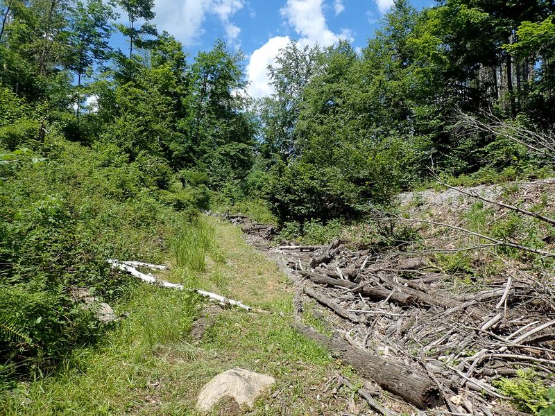 West Side Trails