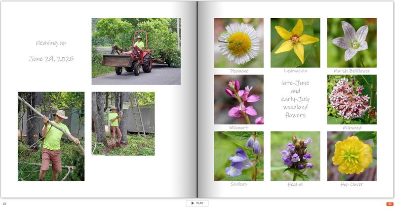 page 22.jpg