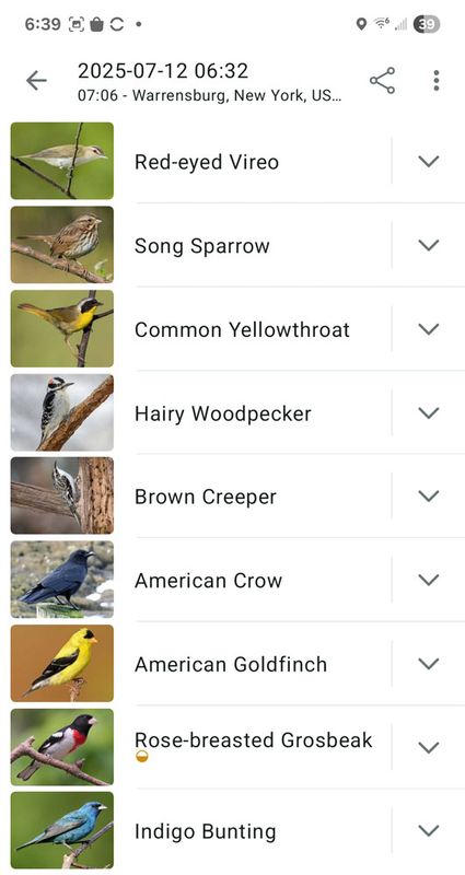 7-12-25 am thurman birds.jpg