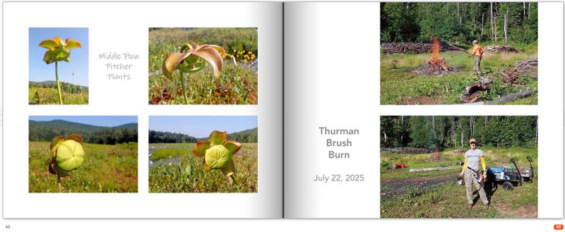 page 62.jpg