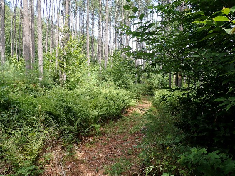 P7301138 TG6MLR2023.jpg