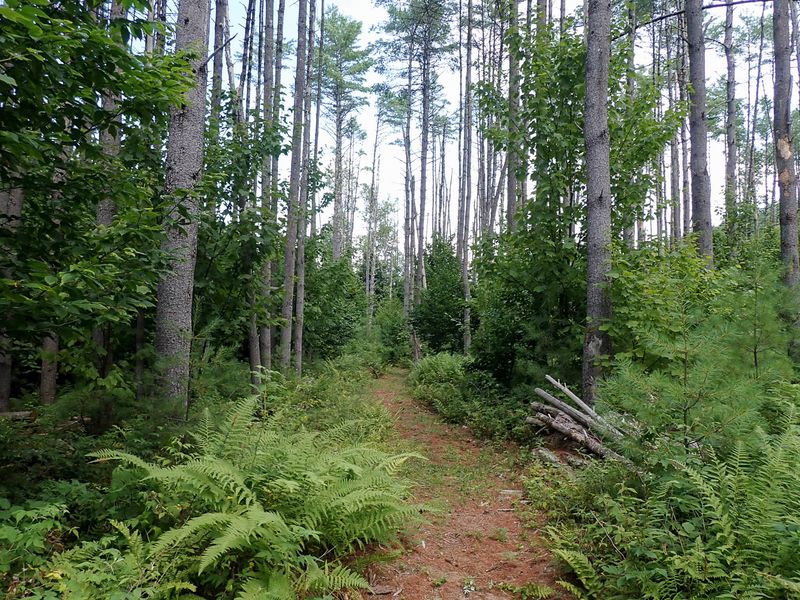 P7301140 TG6MLR2023.jpg