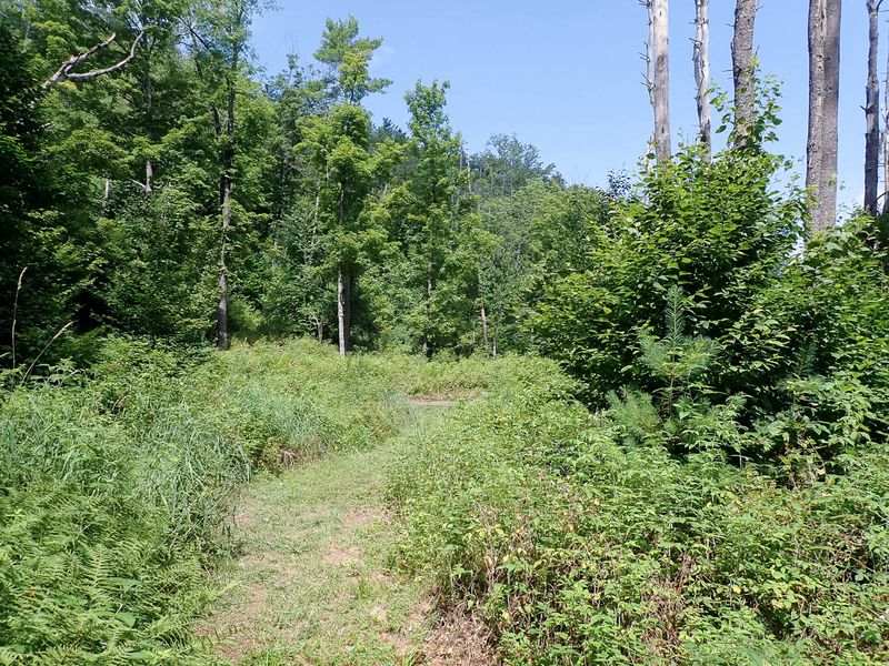 P7301143 TG6MLR2023.jpg