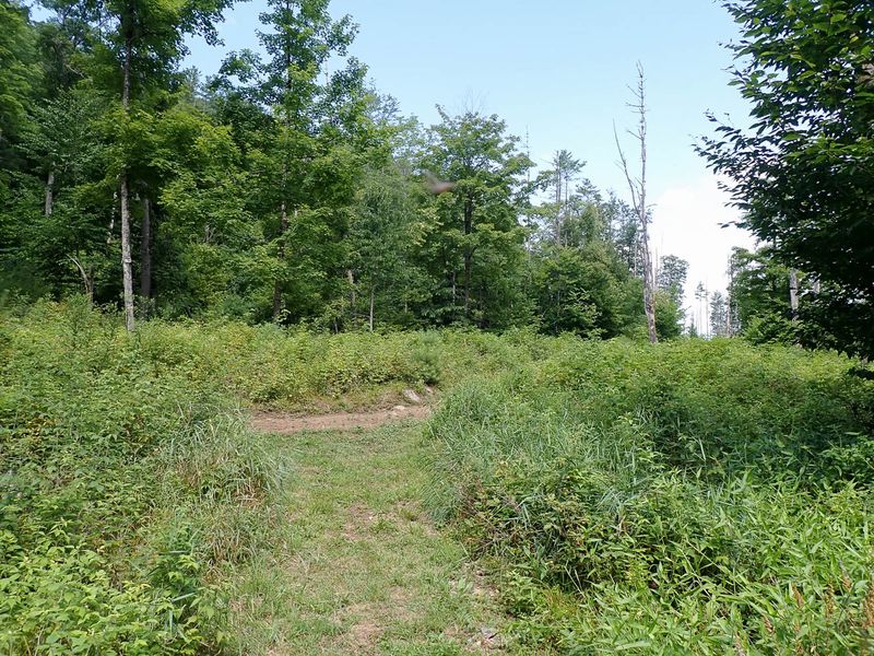 P7301144 TG6MLR2023.jpg