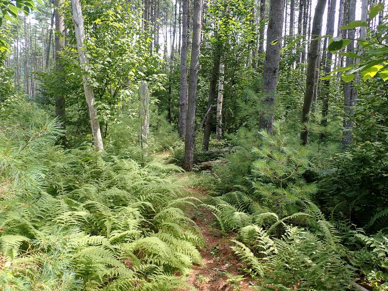 P7301147 TG6MLR2023.jpg