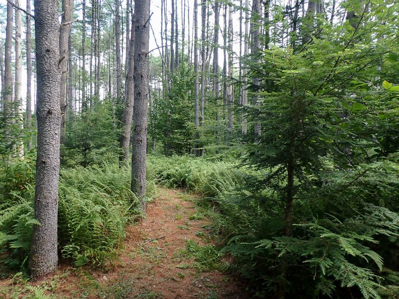 P7301149 TG6MLR2023.jpg