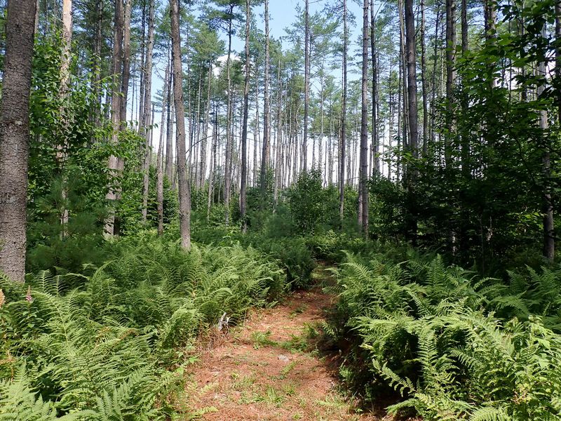 P7301150 TG6MLR2023.jpg