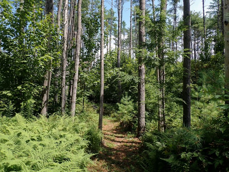 P7301153 TG6MLR2023.jpg